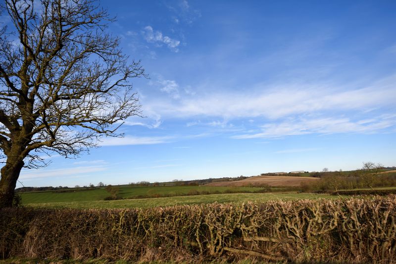 Fields In Whitchurch